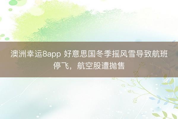 澳洲幸运8app 好意思国冬季摇风雪导致航班停飞,航空股遭抛售